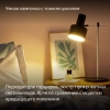 Вид 2